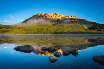 -怎么训练边牧定点大小便