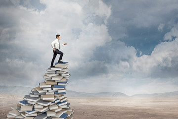 -怎么训练边牧定点大小便