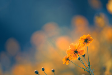 四川省身份证过期异地办理点