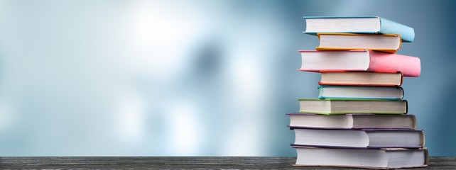 -怎么训练边牧定点大小便