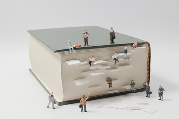 -怎么训练边牧定点大小便