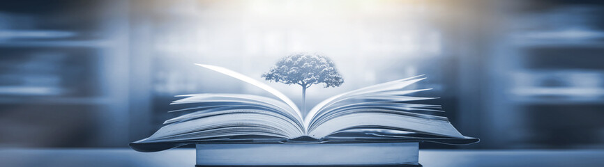 -怎么训练边牧定点大小便