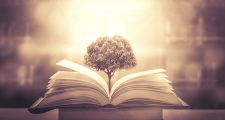 -一枝红杏出墙来-是写什么季节的-