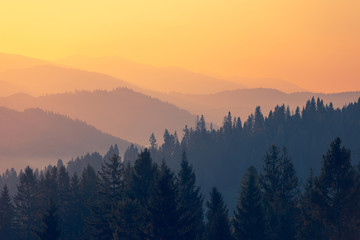 上海迪士尼靠近哪个高铁站近