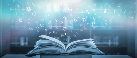 -怎么训练边牧定点大小便