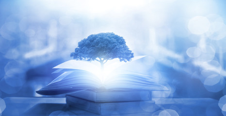 -一枝红杏出墙来-是写什么季节的-