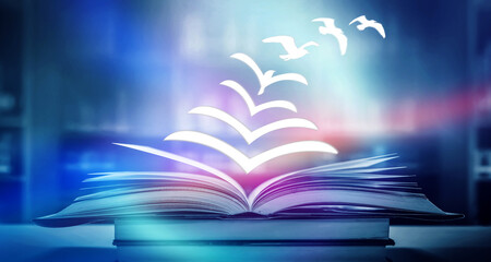 -怎么训练边牧定点大小便