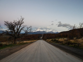 冲兔是什么意思-