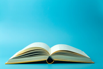 -怎么训练边牧定点大小便