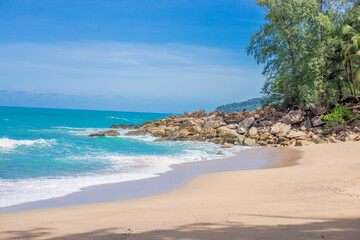 -怎么训练边牧定点大小便