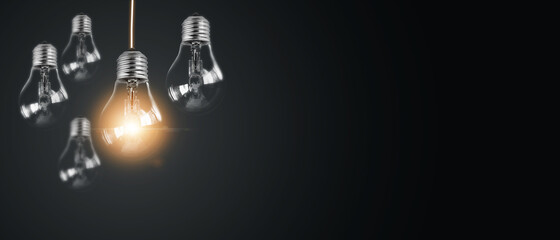 -怎么训练边牧定点大小便