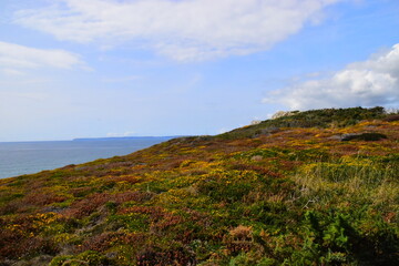 四川省身份证过期异地办理点