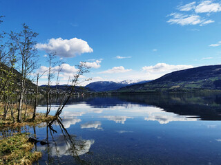 顺丰快递跨省一般几天到？