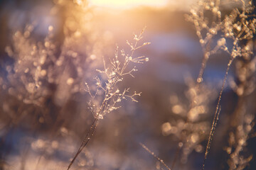 大家在网吧上个通宵要多少钱啊？