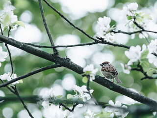 顺丰快递跨省一般几天到？