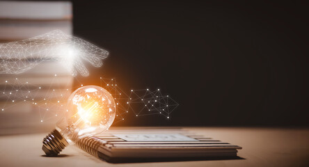 -怎么训练边牧定点大小便