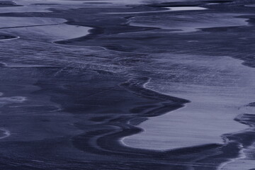 -怎么训练边牧定点大小便