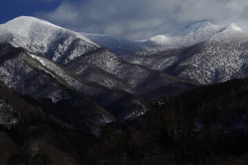 -怎么训练边牧定点大小便