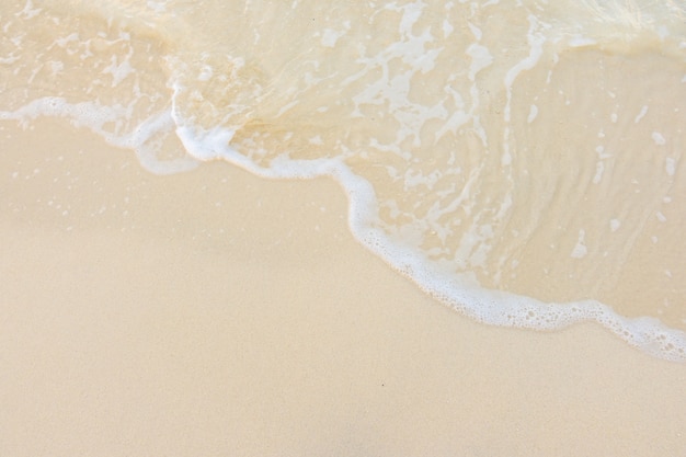 冲兔是什么意思-