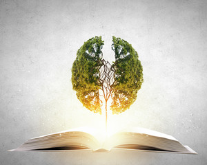 冲兔是什么意思-