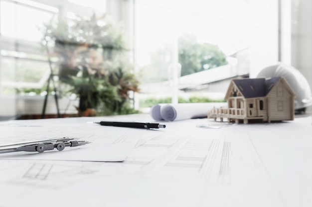 -怎么训练边牧定点大小便