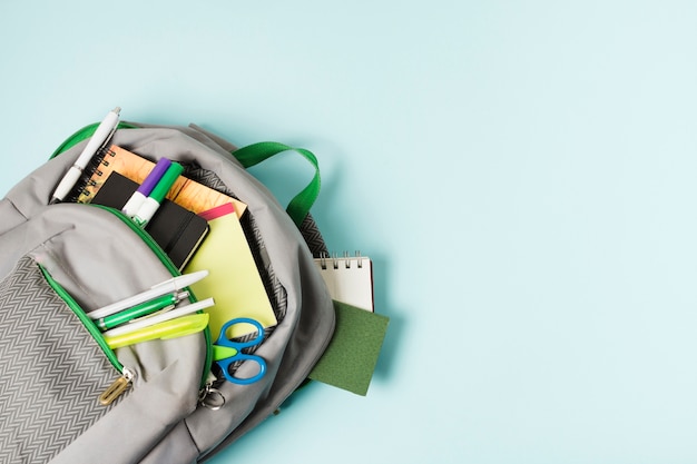 -怎么训练边牧定点大小便