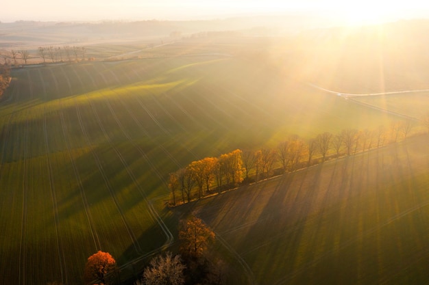 冲兔是什么意思-