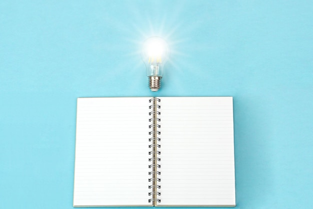 -怎么训练边牧定点大小便