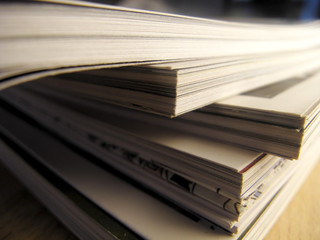 -怎么训练边牧定点大小便