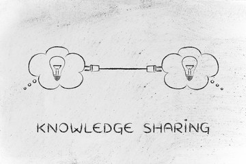 -怎么训练边牧定点大小便