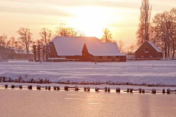 冲兔是什么意思-