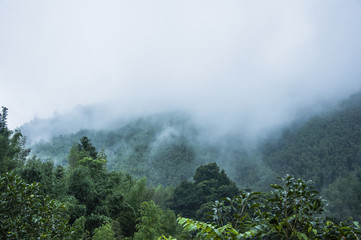 冲兔是什么意思-